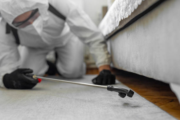 Professional Bed Bug Control technician working in Fiskdale, MA