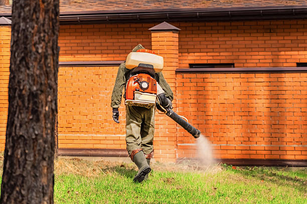 Trusted Mosquito Control service in Fiskdale, MA - Nex Pest Control